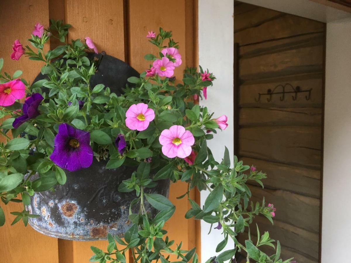 Bakarstuo, Utpa Neset Villa Trofors Dış mekan fotoğraf